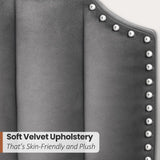 Grey Upholstered Platform Bed Frame with 46.8'' Tall  Tufted Headboard