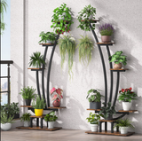 ARA Curved Plant Shelve Rack Decor - waseeh.com