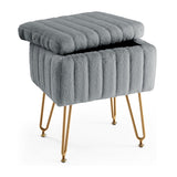 Vanity Stool with Storage For Living Room Bed Room