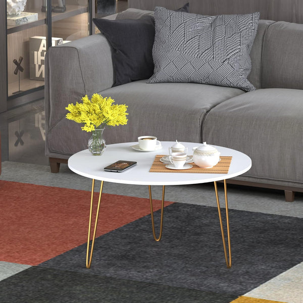 Anikaa Living Room Lounge Coffee Center Hairpin Legs Table