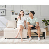 Sofa Bed 3 In 1 Convertible Sleeper Chair With Adjustable Backrest, Chair Bed With 2 Throw Pillows For Living Room