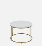 The Oval Mane Living Lounge Coffee Centre Table